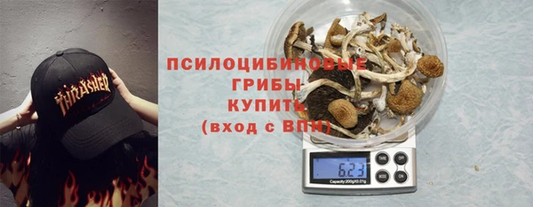 мяу мяу мука Алзамай