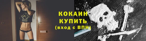 мяу мяу мука Алзамай