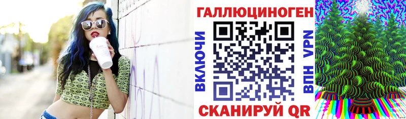 Галлюциногенные грибы Psilocybe  что такое   мега зеркало  Лобня 