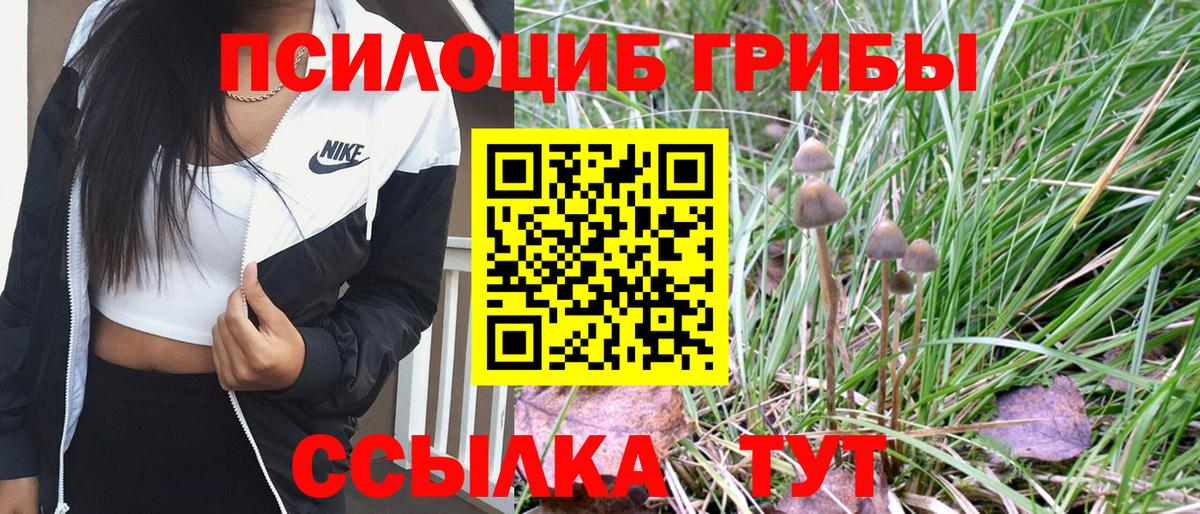 Галлюциногенные грибы Magic Shrooms  Вход с VPN  закладка  Лобня 