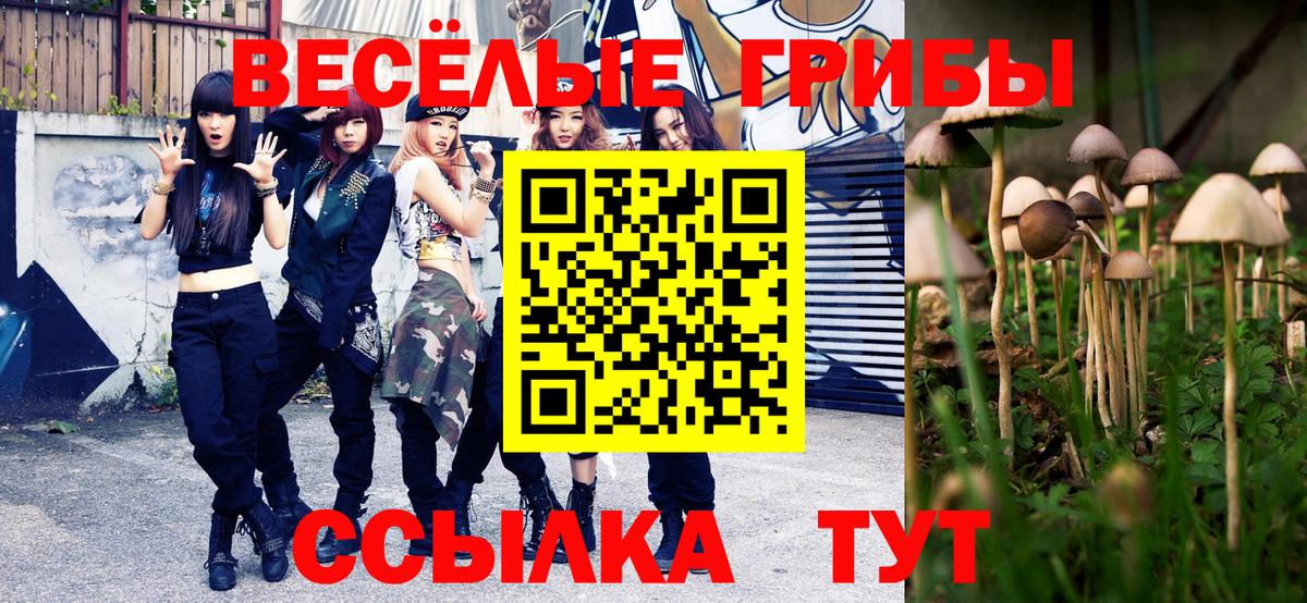 Галлюциногенные грибы Psilocybine cubensis  Лобня 